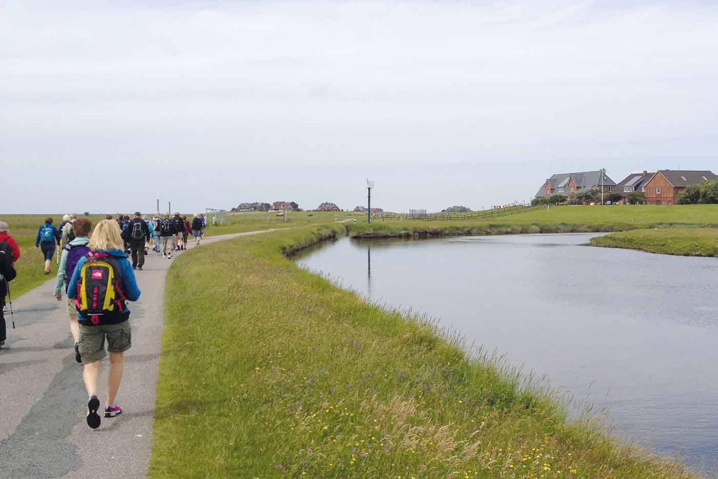 Hallig Hooge vandringer