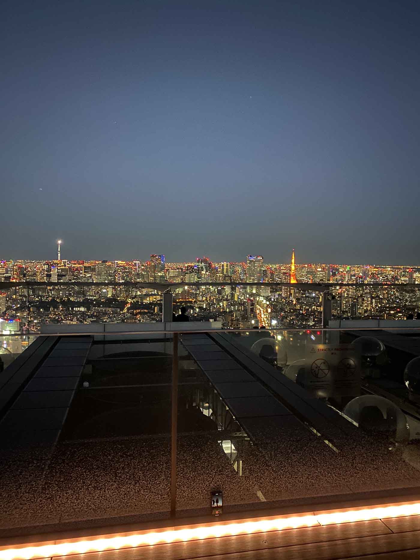 Besøg de japanske storbyer.